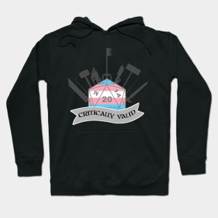 Critically Valid: Transgender Pride Hoodie